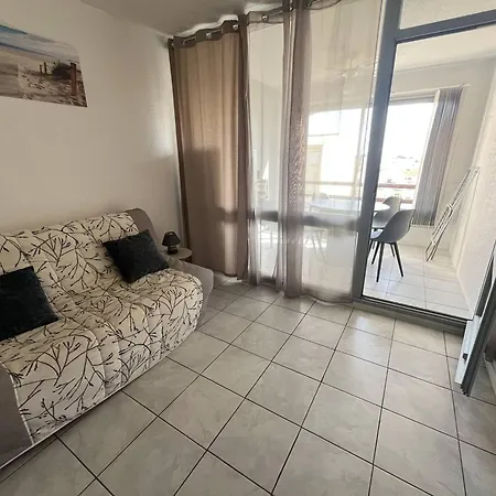 Centre Port Pour 4 Avec Parking Et Animaux Admis - Fr-1-749-92 Apartament Agde