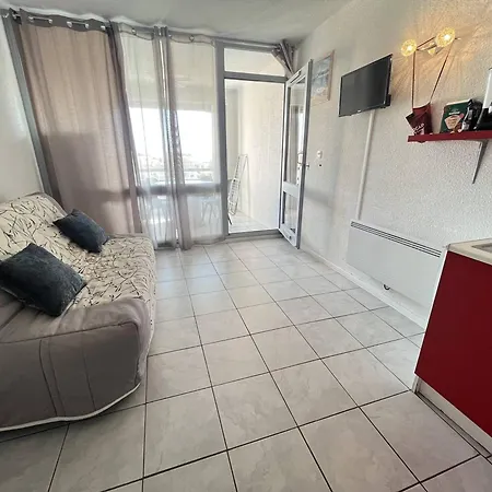 Centre Port Pour 4 Avec Parking Et Animaux Admis - Fr-1-749-92 * Agde