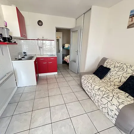 Centre Port Pour 4 Avec Parking Et Animaux Admis - Fr-1-749-92 Apartament