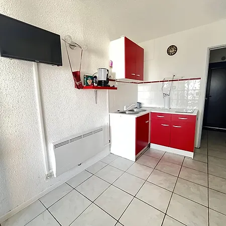 Centre Port Pour 4 Avec Parking Et Animaux Admis - Fr-1-749-92 Agde